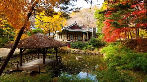 용인 민속촌, 전통과 현대의 교차로에서 바라본 한국 문화의 미래